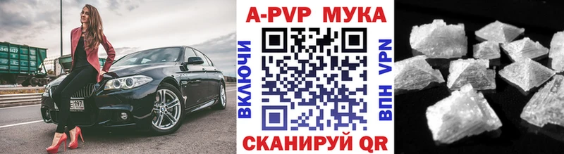 Alfa_PVP СК  как найти   Ачхой-Мартан 