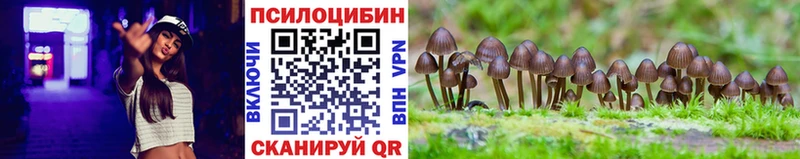Псилоцибиновые грибы Magic Shrooms  OMG ССЫЛКА  Ачхой-Мартан 